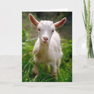Cutest thing Card