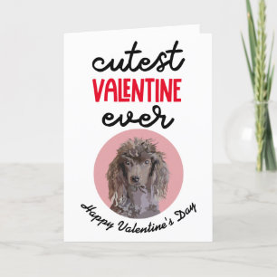 Cutest Valentine Ever ..card from your Poodle Holiday Card