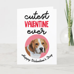 Cutest Valentine Ever ..from your Beagle Holiday Card