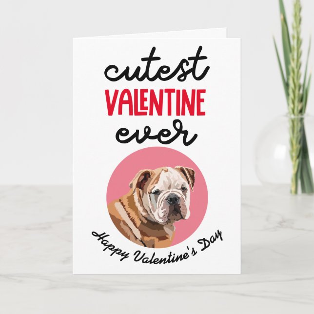 Cutest Valentine Ever ..from your English Bulldog Holiday Card (Front)