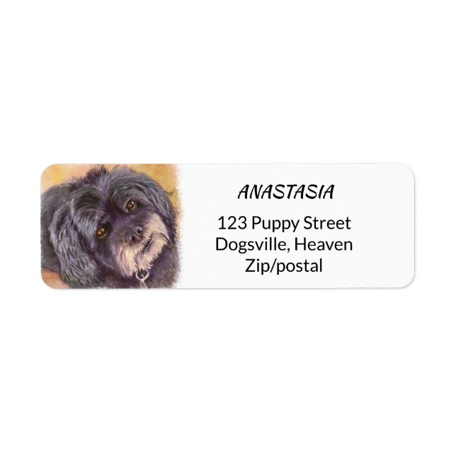 CUTIE BLACK COCK-A-POO MIX (Front)