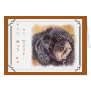 CUTIE BLACK COCK-A-POO MIX