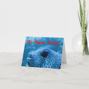 Cutie Fish Note Card