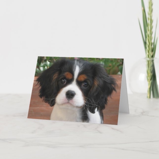 Cutie Pie Card (Front)