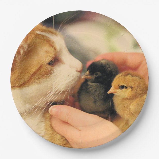 Cuties Paper Plate (Front)