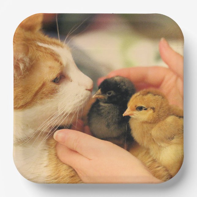 Cuties Paper Plate (Front)