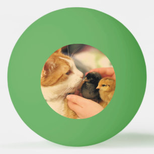 Cuties ping pong ball