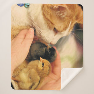 Cuties Sherpa Blanket