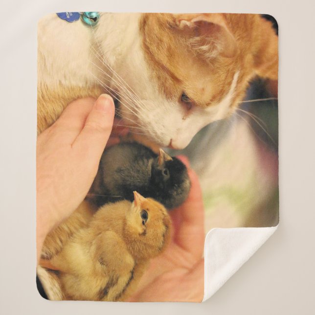 Cuties Sherpa Blanket (Front)