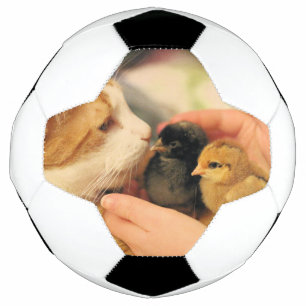 Cuties soccer ball