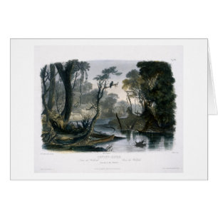 Cutoff River, Branch of the Wabash, plate 8 from V