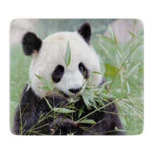 Cutting Board Photo giant panda , animals 0147.