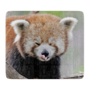 Cutting Board Photo red panda , animals 0218.