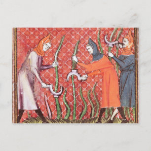 Cutting Trees, from Ovide Moralise Postcard
