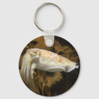 Cuttlefish