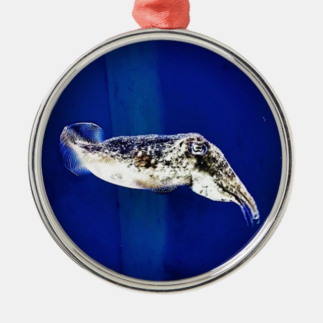 Cuttlefish Metal Tree Decoration (Front)