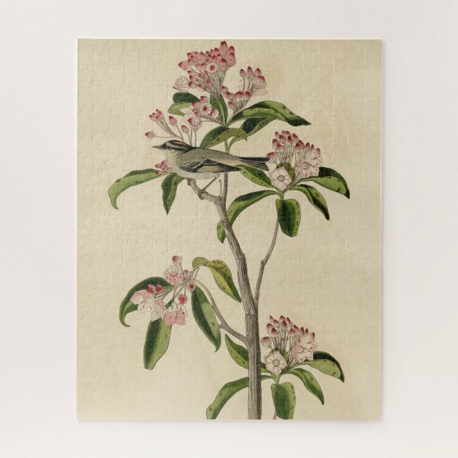 Cuvier's Kinglet (Cuvier's Regulus) Audubon Birds Jigsaw Puzzle (Vertical)