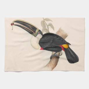 Cuviers Toucan Print: Vintage Tropical Bird Tea Towel