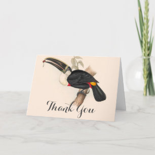 Cuviers Toucan Print: Vintage Tropical Bird Thank You Card