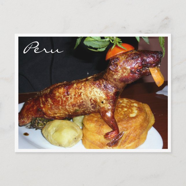 cuy peru postcard (Front)
