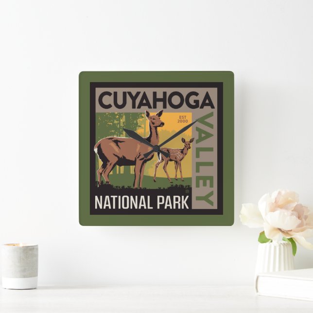 Cuyahoga Valley National Park | Ohio Square Wall Clock (Home)