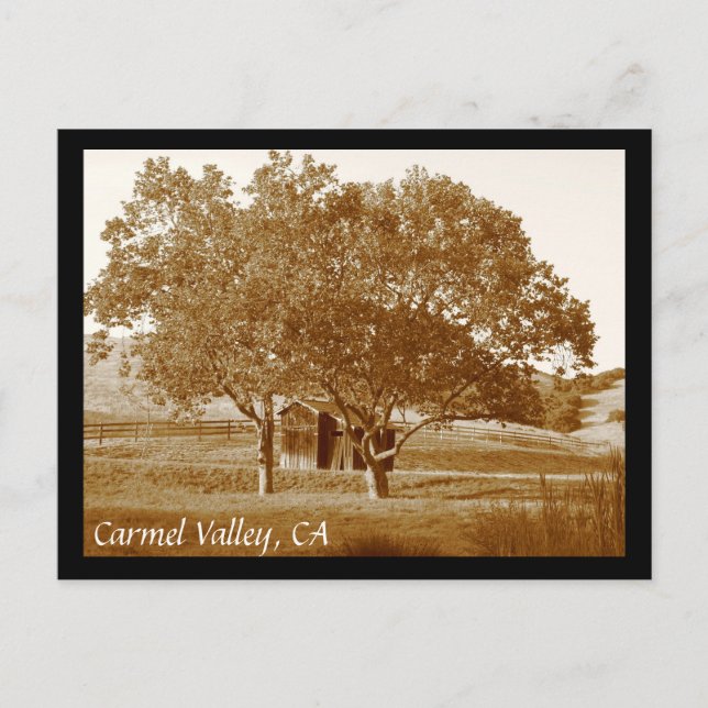 CV summer shed Postcard (Front)