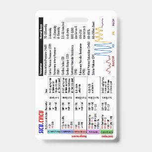 CVICU SICU ICU Badge Buddy ID Badge