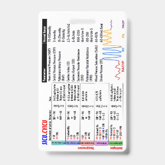 CVICU SICU ICU Badge Buddy ID Badge