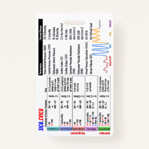 CVICU SICU ICU Badge Buddy ID Badge
