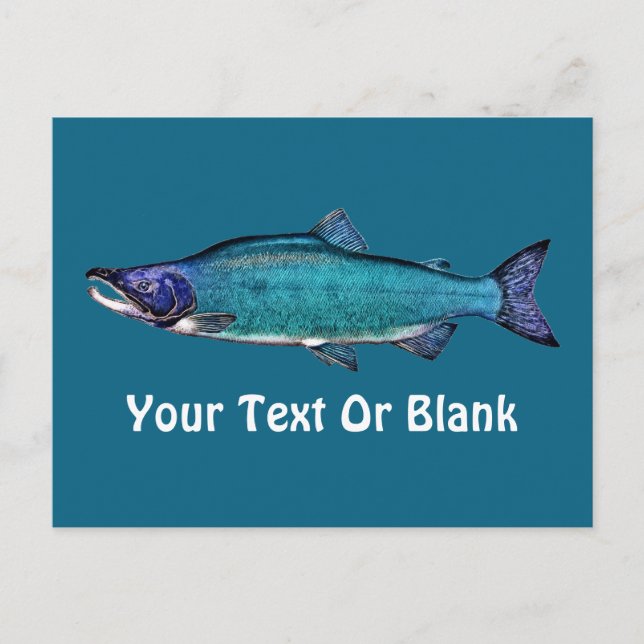 Cyanotic Salmon Postcard (Front)