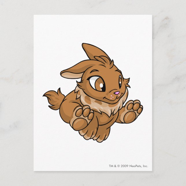 Cybunny Brown Postcard (Front)