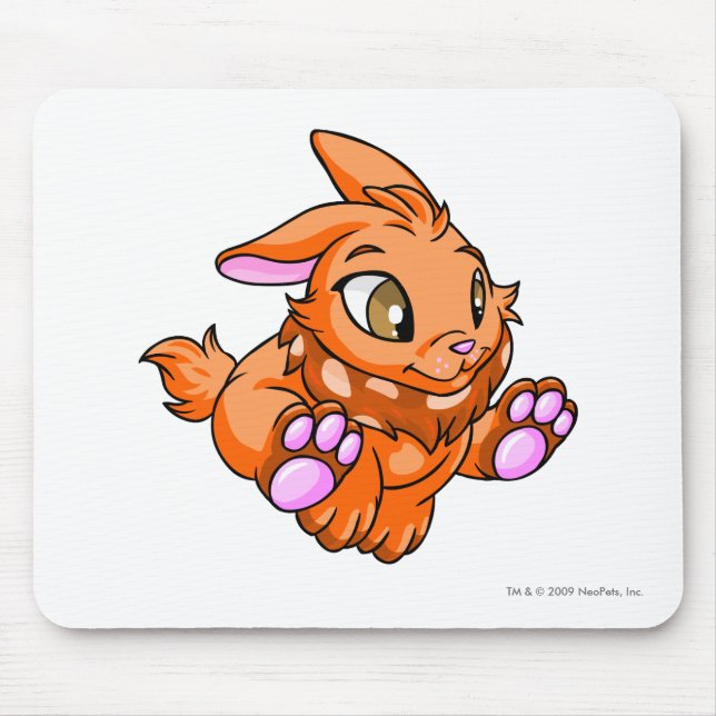 Cybunny Orange Mouse Pad (Front)