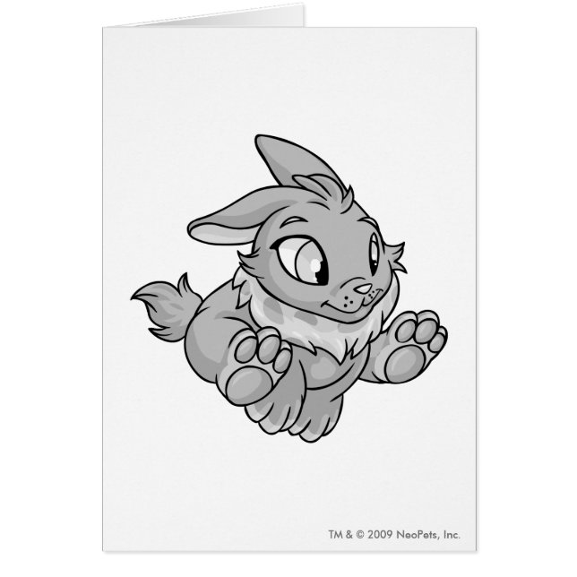 Cybunny Silver (Front)