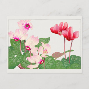 Cyclamen by Tanigami Konan Postcard