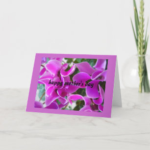cyclamen card