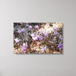 Cyclamen Wrapped Canvas