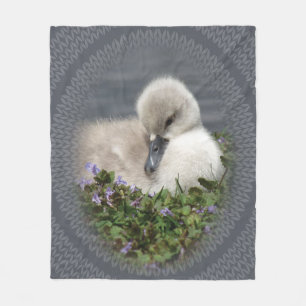 Cygnet Photo with Knit Pattern Blanket