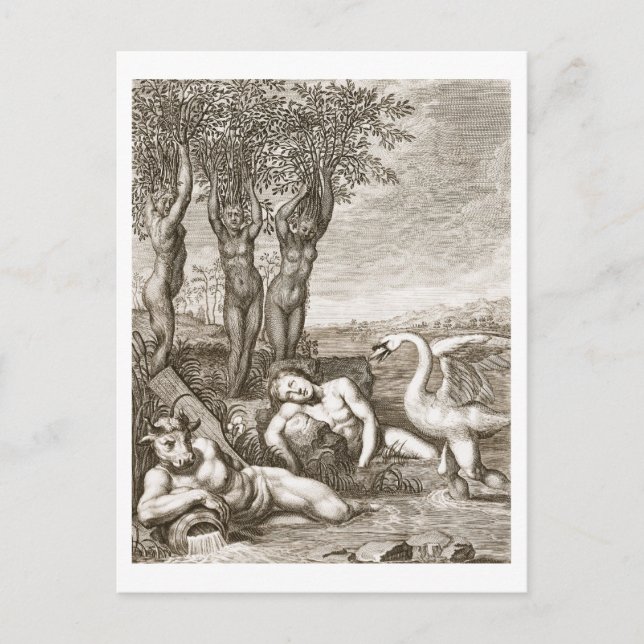 Cygnus Transformed into a Swan and Phaeton's Siste Postcard (Front)