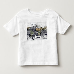 Cylindrical equidistant projection toddler T-Shirt