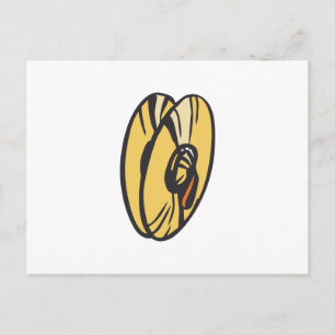CYMBALS POSTCARD