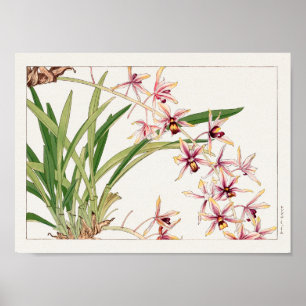 Cymbidium by Tanigami Konan Poster
