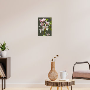 Cymbidium Insigne Orchids Floral Photographic Poster