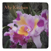 Cymbidium Orchid Flowers Shades of Purple