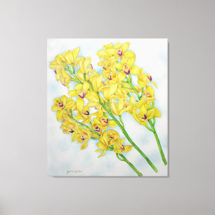 Cymbidium Orchids Canvas Print