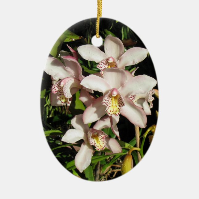 Cymbidium Orchids ornament, customise Ceramic Tree Decoration (Front)