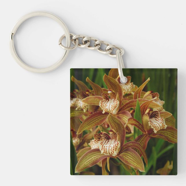 Cymbidium tracyanum key ring (Front)
