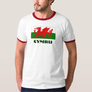 Cymru/Welsh flag with Cymru text. T-Shirt