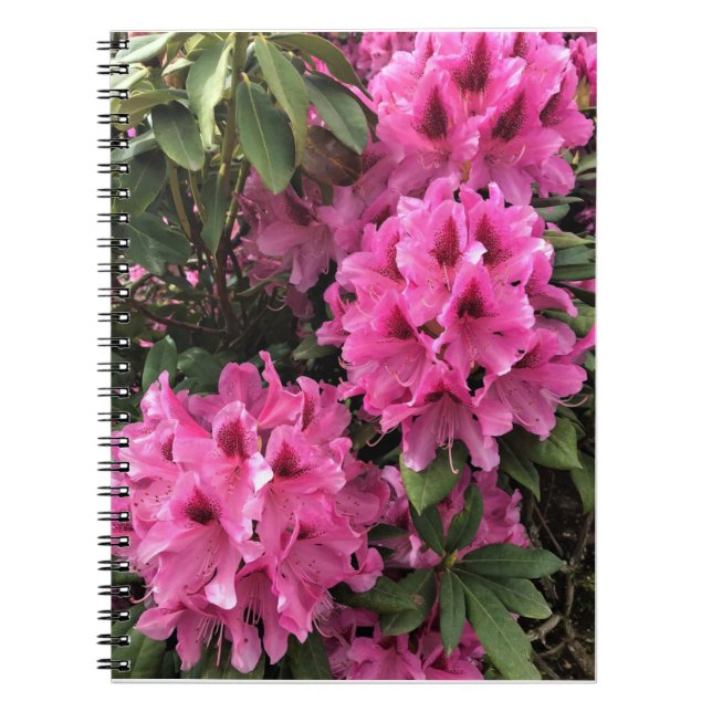 Cynthia Rhododendrons, Oregon Notebook (Front)