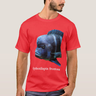 Cyphotilapia frontosa T-Shirt