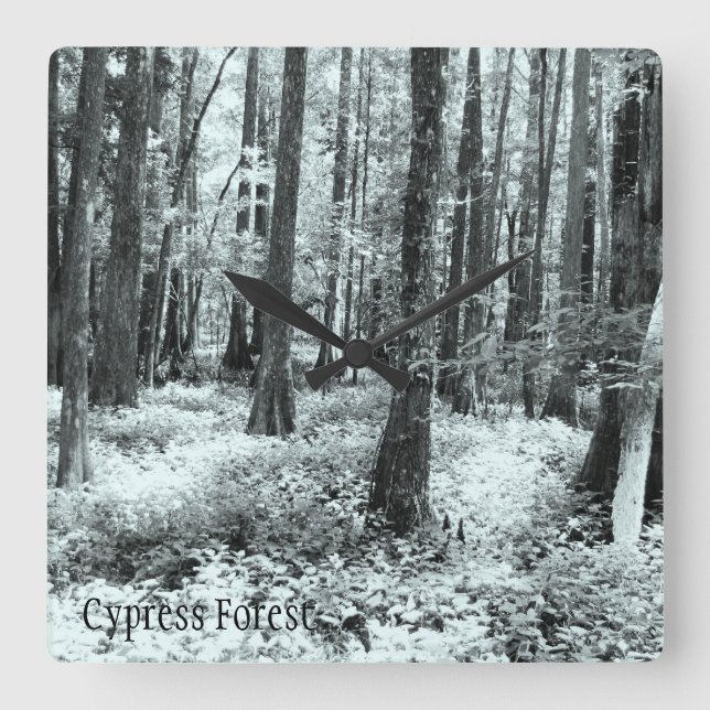 Cypress Forest Wall Clock (Front)